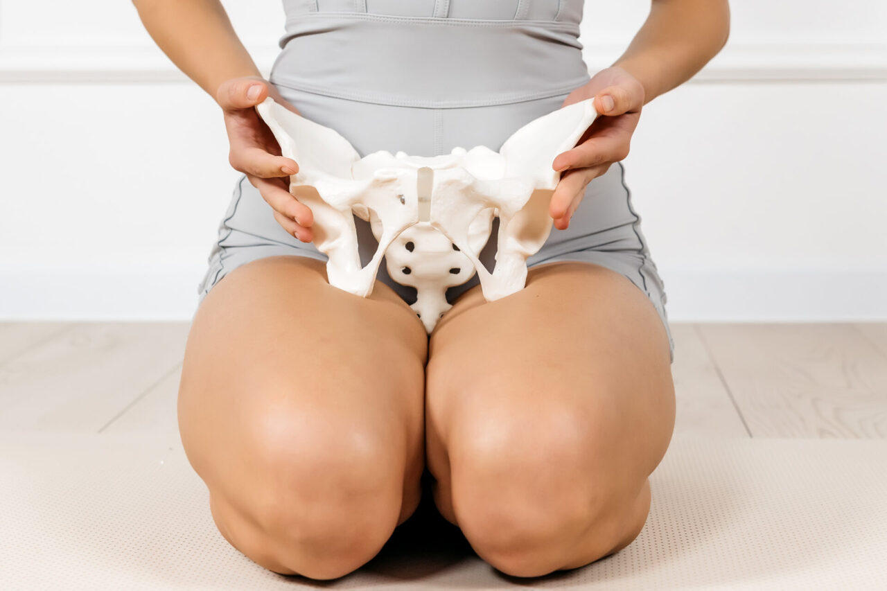 Close up of the female pelvis in the hands of an athletic, healthy woman. Gynecology, women's healthcare and medicine and healthy body concept.